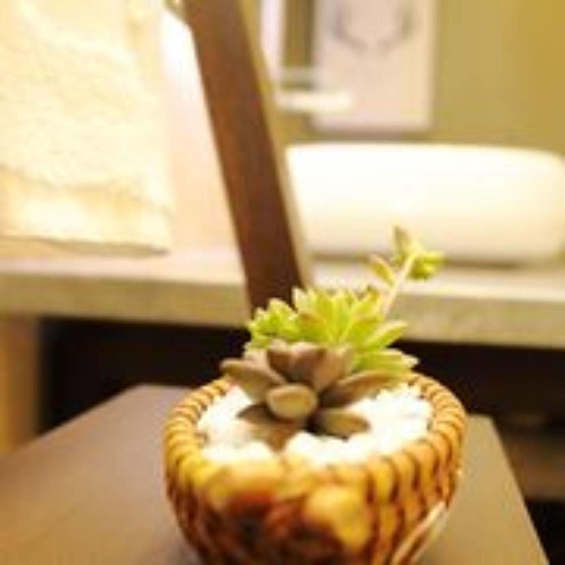 Xi'An Tanglong International Hotel المظهر الخارجي الصورة